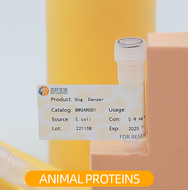 Feline Serum Amyloid A(FSAA) Biomapper