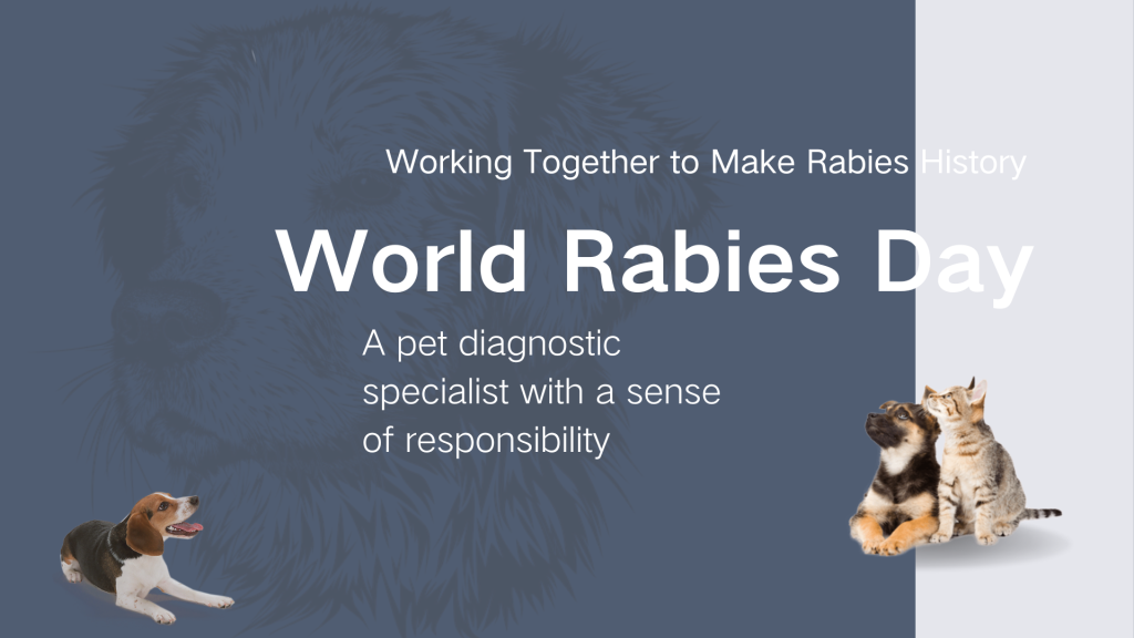9.28 World Rabies Day | Animal immunization is the first step to prevent rabies