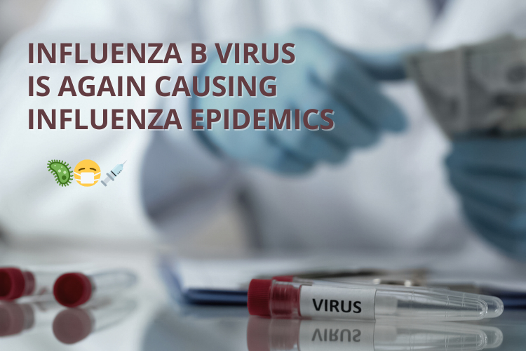Influenza B virus is again causing influenza epidemics