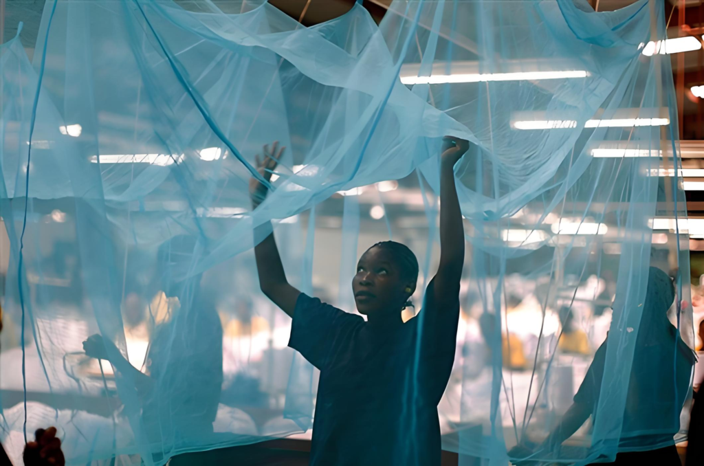 The Fight Against Malaria
