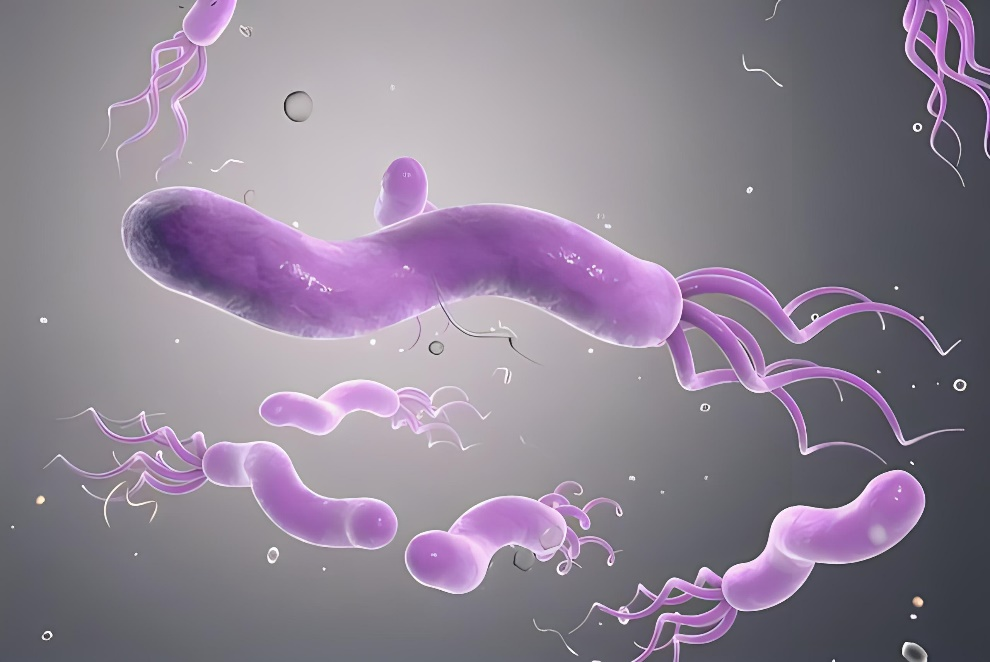 Helicobacter Pylori: a Hidden Threat to Stomach Health